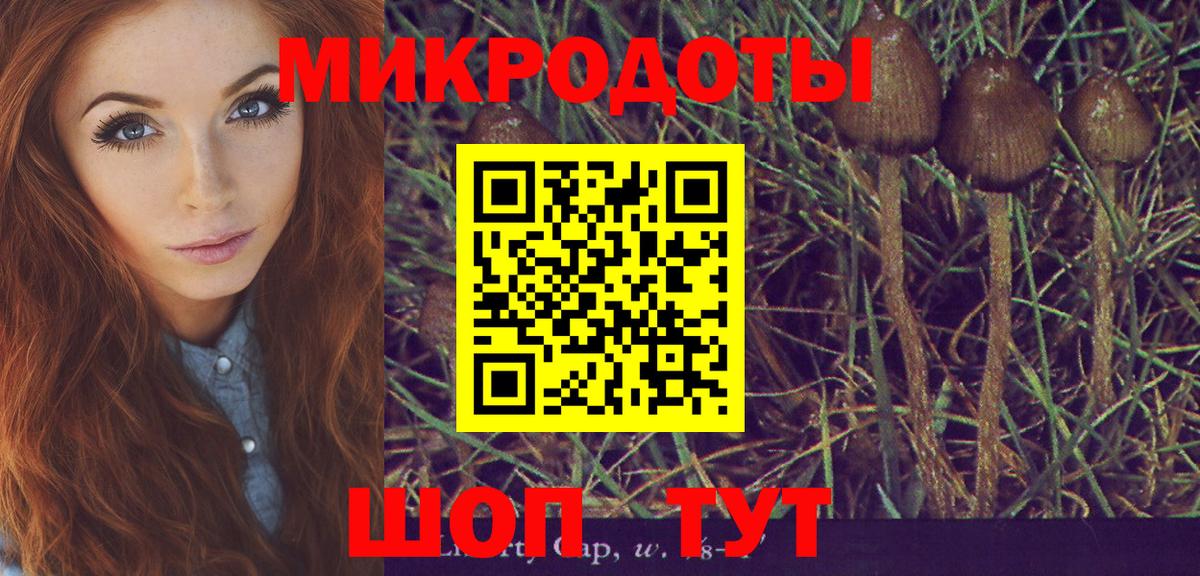 Нарткала  Псилоцибиновые грибы ЛСД  Вход с VPN 