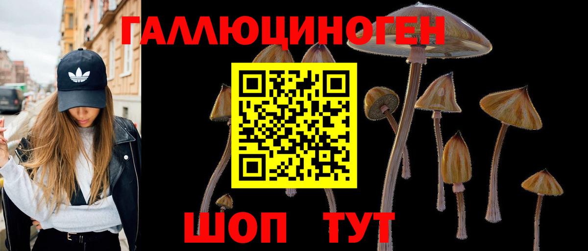 Псилоцибиновые грибы Magic Shrooms Нарткала